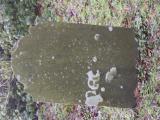 image of grave number 795218